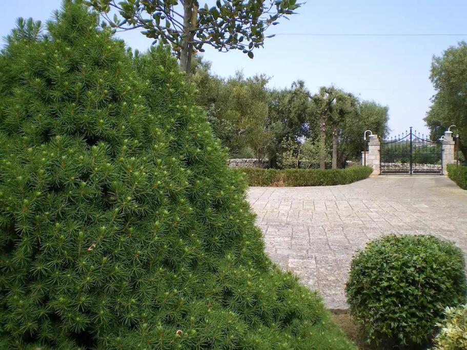 Trulli Giulivi Villa Locorotondo Eksteriør bilde